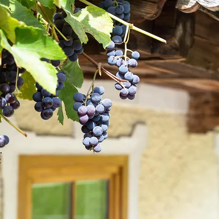 木屋 Anna Bruck am Ziller